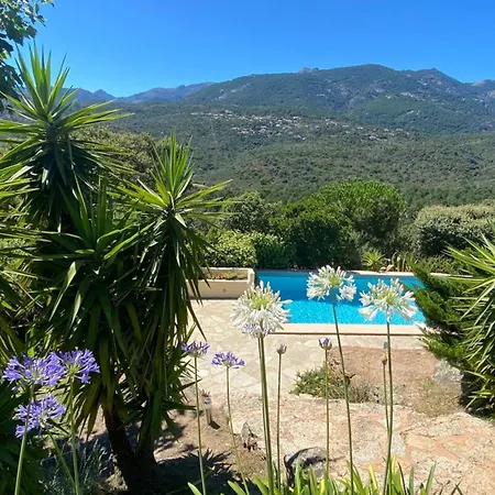 Amuri Heated Pool & Spectacular View Of The Maquis Sotta