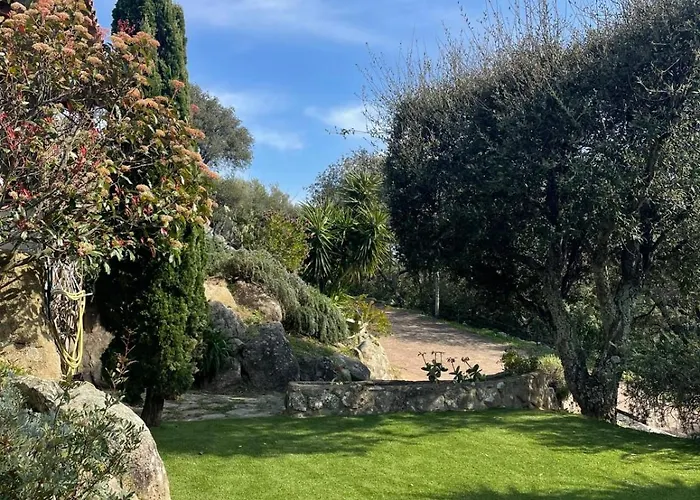 Amuri 4 Dans Un Oasis Piscine Chauffée Hébergement de vacances Sotta